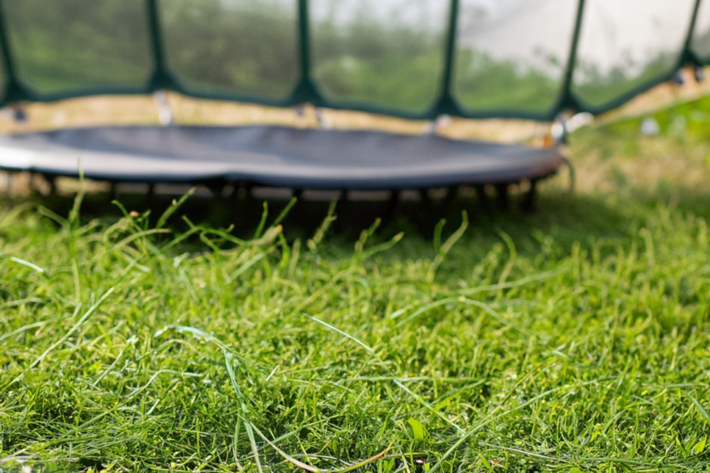 grass under trampoline